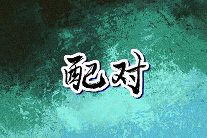择吉老黄历皇历 择吉黄历 黄历择吉