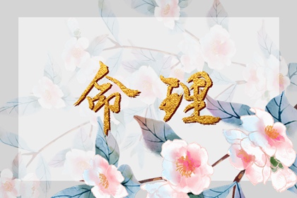 老黄历吉日吉时查询_今日老黄历时辰吉凶宜忌_黄历2026老黄历查询